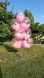 Гелієва кулька Браш рожевий 7171-0003 фото 2