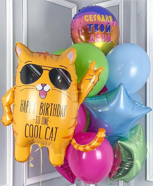 Набір кульок "Крутий Кіт - Cool Cat" buket - 0039 фото
