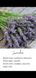 Свічка із соєвого воску в склі Lavender 8800-0004 фото 3